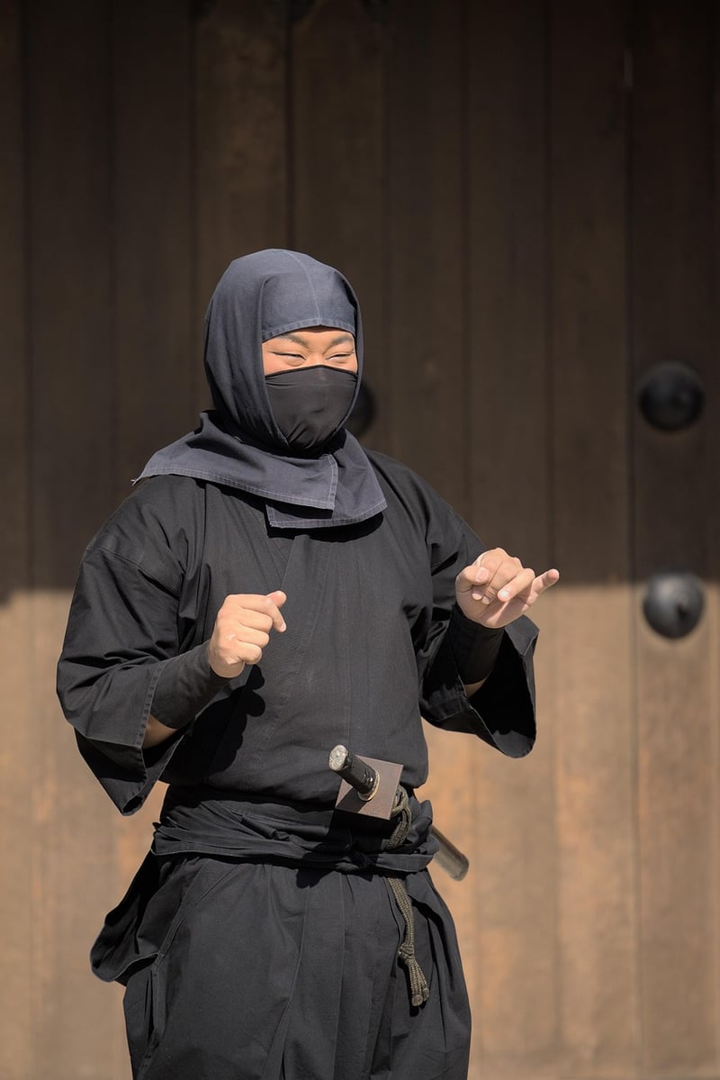 Chinese Martial Art